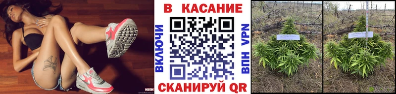 Купить наркотики Удачный Каннабис  МЕФ  Вейп ТГК  ГАШ  COCAIN 