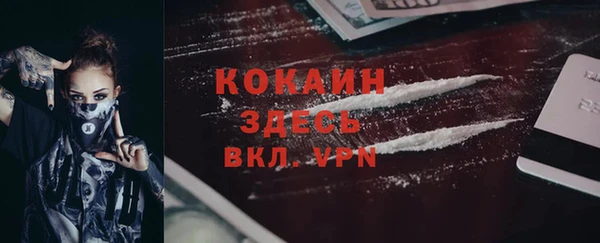 PSILOCYBIN Аркадак