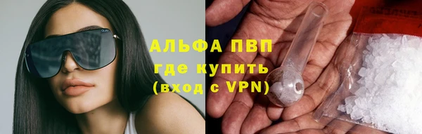 PSILOCYBIN Аркадак