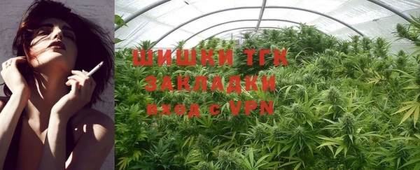 PSILOCYBIN Аркадак
