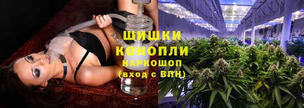 дживик Арсеньев