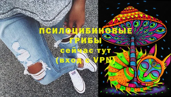 PSILOCYBIN Аркадак